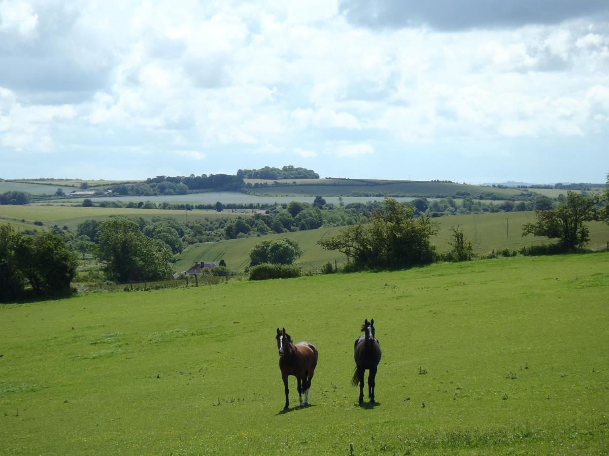 Manor Farm B&B Марлбъро Екстериор снимка